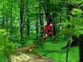 Mountain Bike để chơi trực tuyến