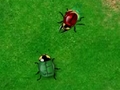 Beetle Wars để chơi trực tuyến