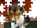 Dễ thương Dog Puzzle để chơi trực tuyến